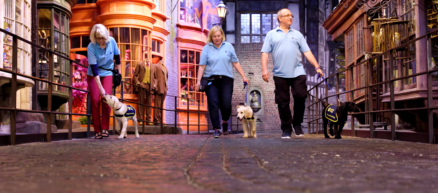 Warner Bros Studio in Herts partners with charity to improve